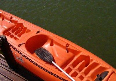 Kayak
