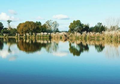 Lago Central